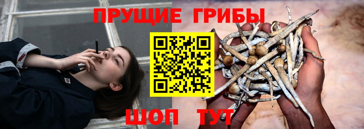 Галлюциногенные грибы ЛСД  Вход с VPN  Кумертау 